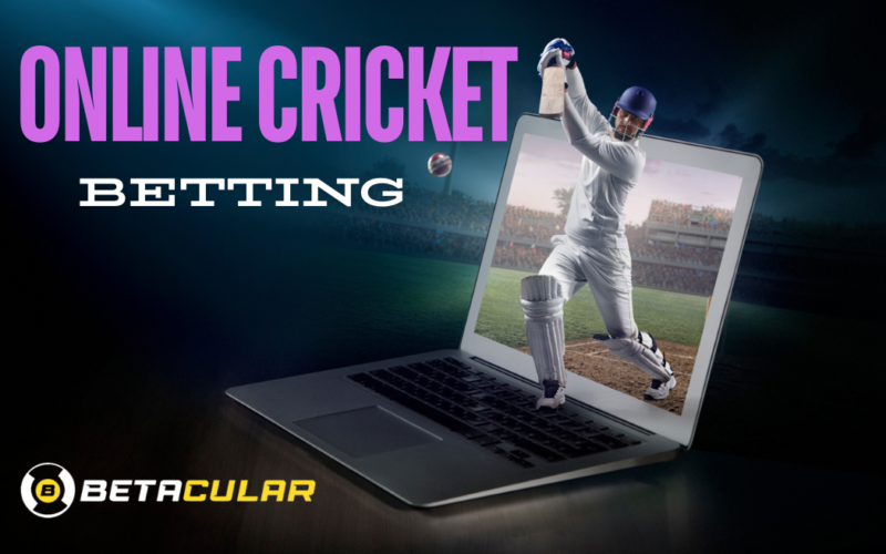 How to Bet on a Cricket Match Online?