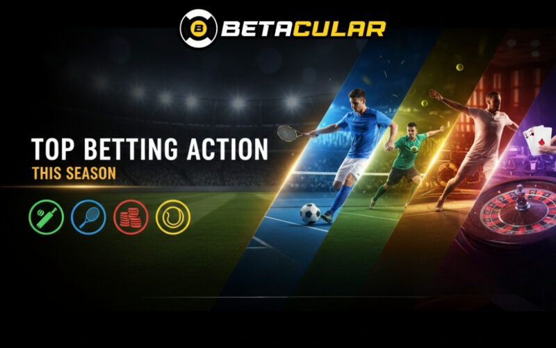 Top Sports to Bet on This Season — And Winning Tips for Each